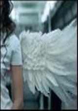 �����ܲ�Ҳ̰�� ������