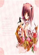 ���⴫��(Ů��)����VIP