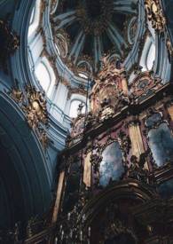 �۹�֮��[ABO/NP]